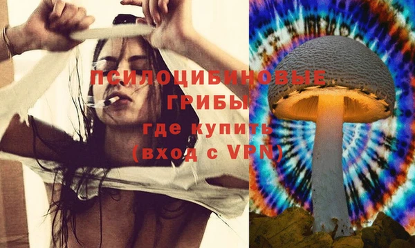 jwh Зеленокумск