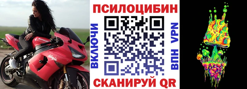 Купить  Кандалакша  Псилоцибиновые грибы MAGIC MUSHROOMS 